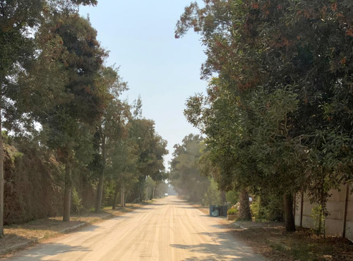 Parcela Con Muy Buena Ubicación En Camino Loreto, Lonquén