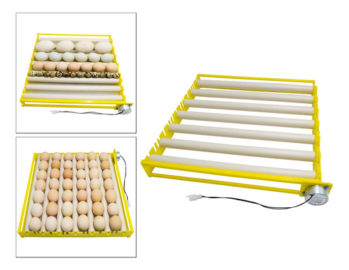 Bandeja De Incubación Automática De 42 Huevos 7 Varillas 