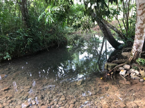Terreno De 190 Hectáreas Cerca De Palenque