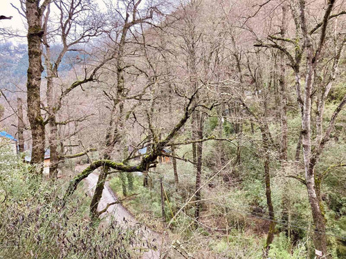 Imagen 4 de 6 de Fida Patagonia. Terreno En Venta De 750m2 Ubicado En San Martín De Los Andes