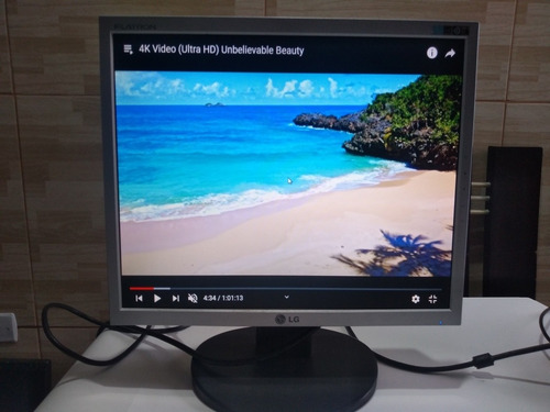 Monitor Lg 17 Polegadas Entradas Vga E Dvi Usado!!! (Usado)