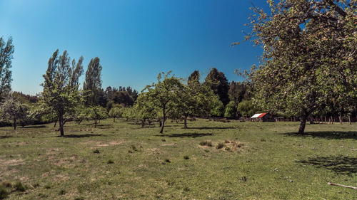 Campo De 80 Héctareas | Subdividido En 75 Parcelas