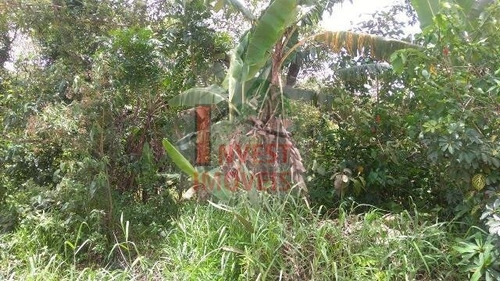 Imagem 5 de 10 de Terreno - Ref: 4159 - V-4159