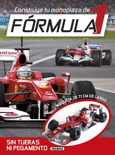 Monoplaza Formula 1 - 