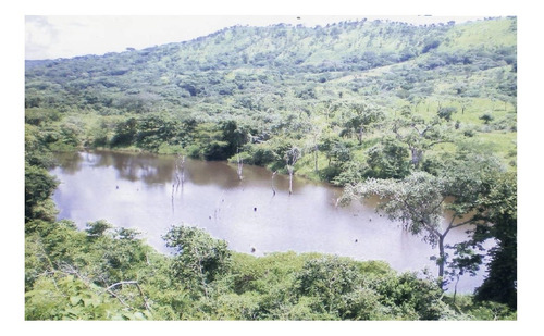 Imagen 6 de 14 de Se Vende Finca Agropecuaria - Cerca San Juan De Los Morros