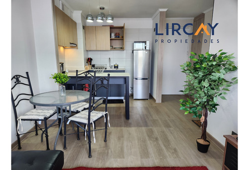 Departamento Amoblado En Arriendo En Talca.
