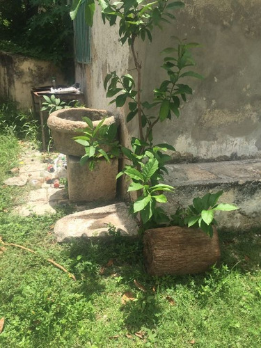 Imagen 4 de 30 de Hacienda En Venta En Campeche