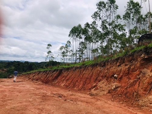 Imagem 3 de 9 de Terrenos/lotes Em Santa Isabel Com Otima Topografia.