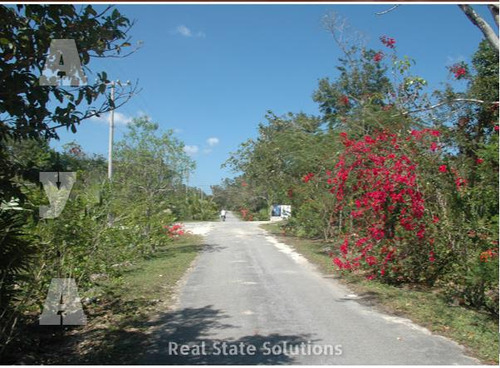 Terreno Ecologico En Venta,3,000 M2,
