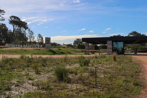 Terrenos En Reserva Montoya