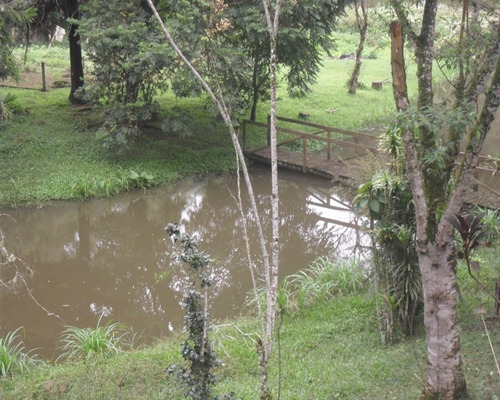 Imagem 11 de 30 de Excelente Sítio Rico Água Com Nascente Própria Em Juquitiba. - 76 - 32982783