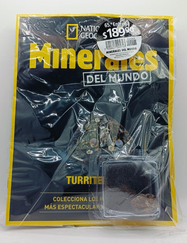 Minerales Del Mundo National Geographic #65 Turritella
