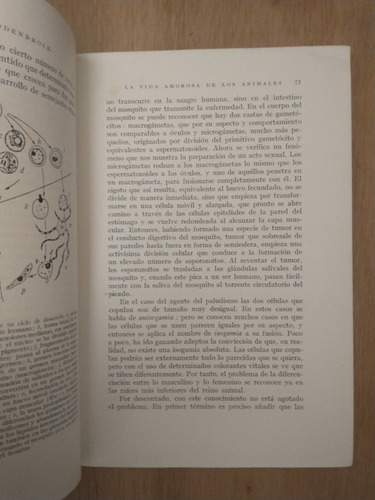 La Vida Amorosa De Los Animales - Wolfgang Von Buddenbrock (Usado)