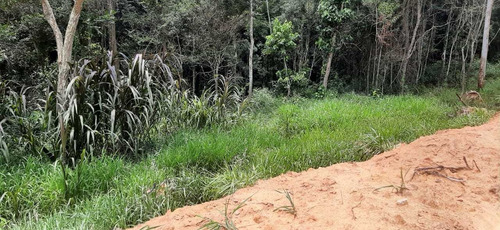 Imagem 6 de 14 de Terrenos Com Uma Linda Vista
