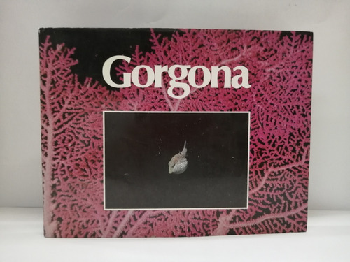 Gorgona