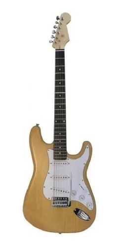 Guitarra Electrica Stratocaster Accesorio