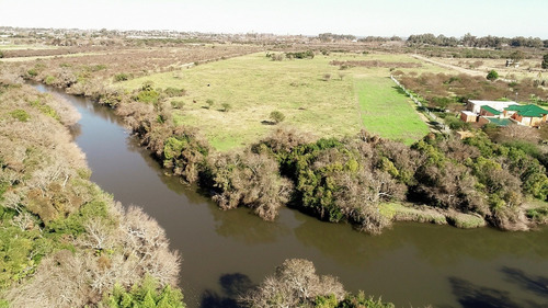 Imagen 4 de 12 de Chacras Venta Nueva Palmira Sobre Arroyo Navegable