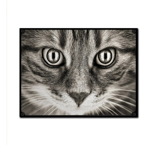 #1020 - Cuadro Vintage - Gato Cat Gatito Poster No Chapa