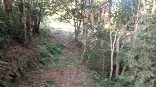 Imagem 9 de 17 de Chácara 34000m2, 800mts Do Asfalto,casa Simples, 25 Kms Da Cidade De São Miguel Arcanjo - Ch00085 - 69536980