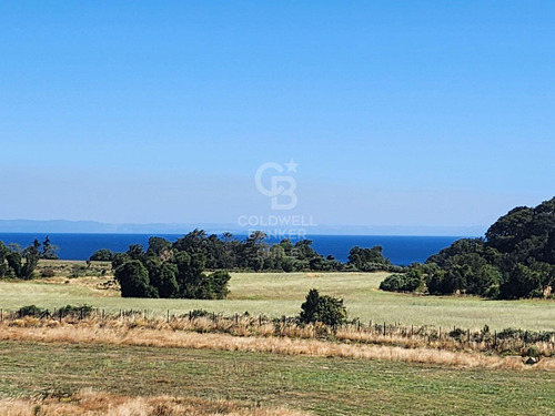 Exclusivo Proyecto - Marina Y Salida Al Lago Llanquihue.