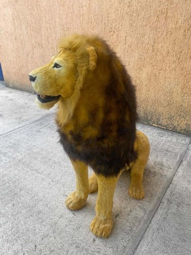 Animales Disecados 100% Artificiales. Leon Africano
