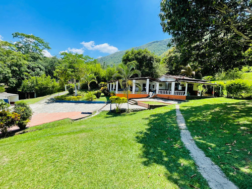 Finca San Jerónimo, Antioquia Cerca De Los Tamarindos - Se Vende 