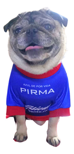 Jersey Deportivo Para Mascotas - Azul Tres