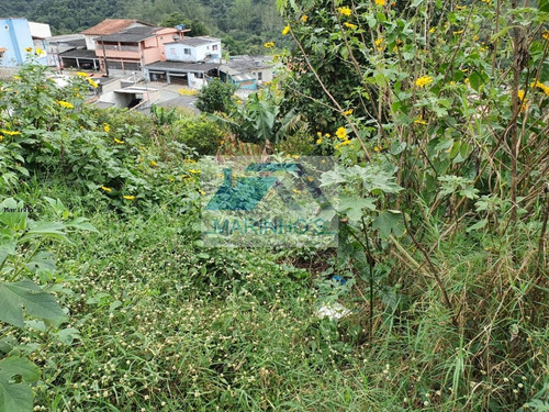 Imagem 1 de 3 de Terreno Para Venda Em Ribeirão Pires, Jardim Luso - 230_1-1458528