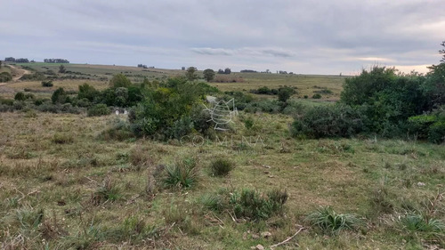 114 Has 9201 M2 En Paraje Jose Ignacio