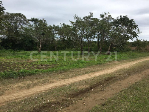 Se Vende Terrenos En Barrillas Coatzacoacos, Ver.