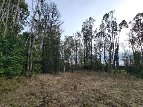 Espectacular Parcela Con Bosque En Condominio Las Tranqueras