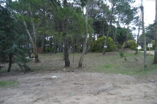 Imagen 1 de 5 de Muy Buena Ubicación- Lote A Nivel- Arbolado- Lindo Entorno- 600 Mts