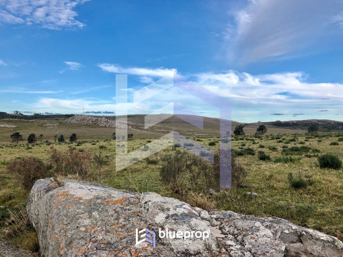 Imagen 7 de 10 de Chacra De 5 Has Con Hermosas Vistas Al Cerro Del Frances Y Laguna Del Sauce.