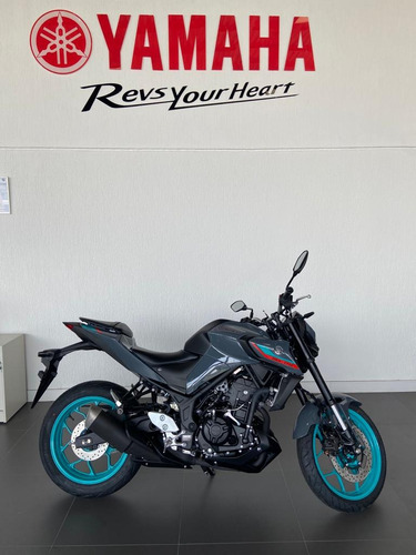 Yamaha Mt 03 24/24 Todas As Cores - Pronta Entrega (bruno)