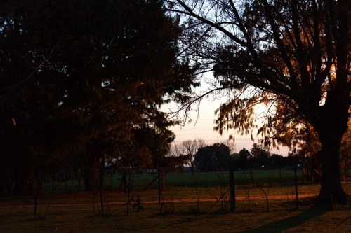 Imagen 14 de 14 de Casa Quinta Santa Coloma A 125km De Caba Semana Santa
