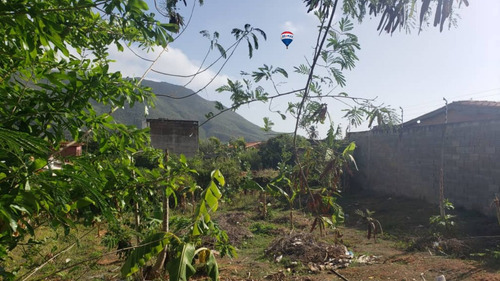 Re/max 2mil Vende Terreno En Caserío Espinoza, Atamo Sur, Mun. Arismendi, Isla De Margarita, Edo. Nueva Esparta