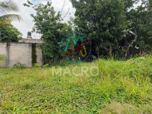 Terrenos En Venta En Col. Vicente Guerrero En Cuautla Con Conexión A Servicios