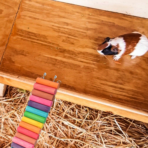 Escalera Hamster Toys Para Escalar Hámsteres, Cola Larga, 2
