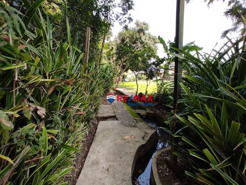 Imagem 13 de 26 de Terreno À Venda, 525 M² Por R$ 525.000,00 - Balneário Praia Do Pernambuco - Guarujá/sp - Te0020