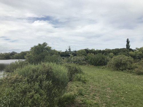 Imagen 30 de 30 de Venta De Chacra Sobre Ruta 9 A 30 Km De Jose Ignacio - Maldonado Ruta 9