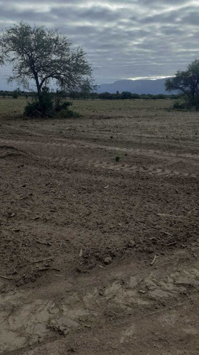 Imagen 4 de 7 de Lote La Esterlina Desde 620m2 100% Finan 6 Min Merlo San Lui
