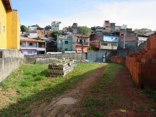 Imagem 5 de 6 de Terreno À Venda, 371 M² Por R$ 550.000,00 - Parque Jurema - Guarulhos/sp - Te0181