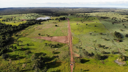 Fazenda 184 Alqueires No Tocantins