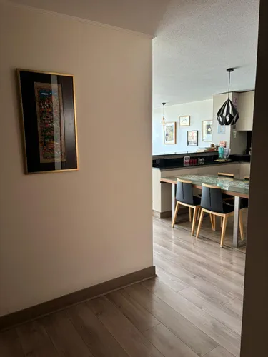Espectacular Dpto Amoblado 2d 2b Providencia Arriendo 1 Año