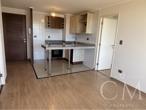 Esplendido Departamento En Parque Krahmer