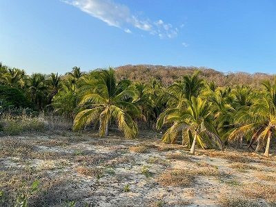 Terreno En Venta En Puerto Escondido