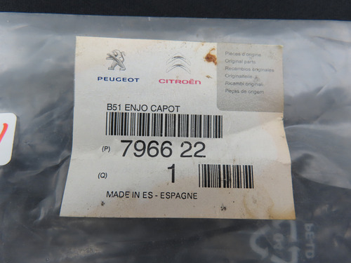 Friso Aplique Capo Citroen C4 796622 Original