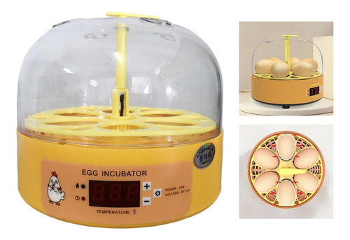 Mini Chocadeira De Ovos Com Giro Automático