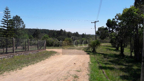 Imagem 5 de 17 de Terreno À Venda, 5000 M² Por R$ 150.000,00 - Espigão - Viamão/rs - Te0240