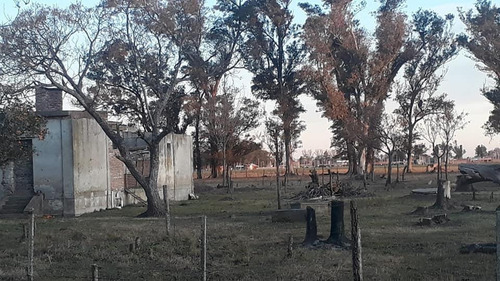 Imagen 2 de 9 de Campo - Los Muchachos
